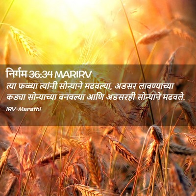 Picture 02 - निर्गम 36:34 MARIRV - त्या फळ्या - Bible Verse Picture
