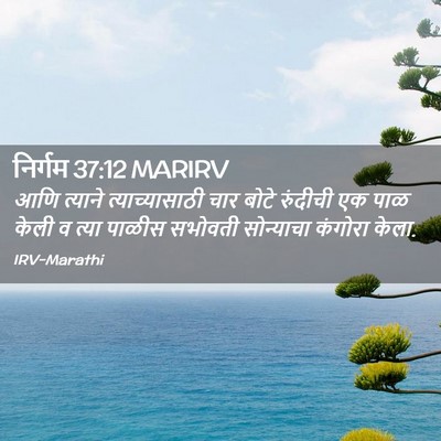Picture 02 - निर्गम 37:12 MARIRV - आणि त्याने - Bible Verse Picture