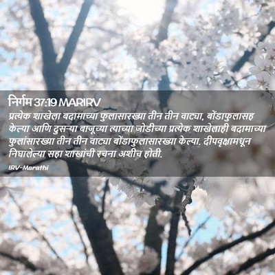 Picture 02 - निर्गम 37:19 MARIRV - प्रत्येक शाखेला - Bible Verse Picture