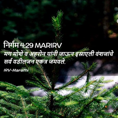 Picture 02 - निर्गम 4:29 MARIRV - मग मोशे व अहरोन - Bible Verse Picture