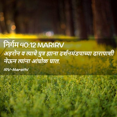 Picture 02 - निर्गम 40:12 MARIRV - अहरोन व त्याचे - Bible Verse Picture