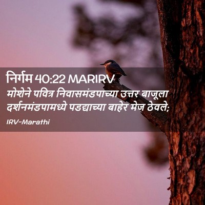 Picture 02 - निर्गम 40:22 MARIRV - मोशेने पवित्र - Bible Verse Picture