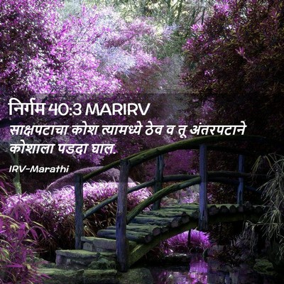 Picture 02 - निर्गम 40:3 MARIRV - साक्षपटाचा कोश - Bible Verse Picture