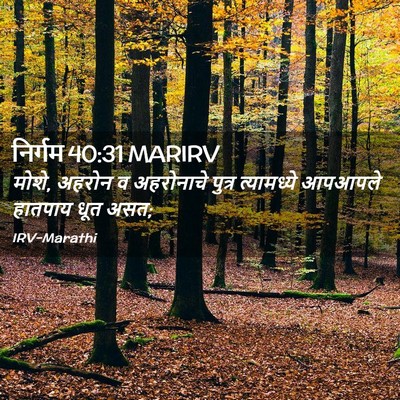 Picture 02 - निर्गम 40:31 MARIRV - मोशे, अहरोन व - Bible Verse Picture