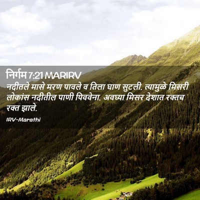 Picture 02 - निर्गम 7:21 MARIRV - नदीतले मासे मरण - Bible Verse Picture