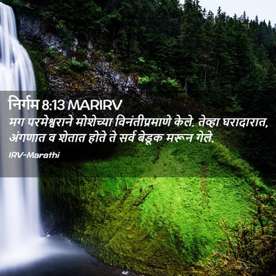 Picture 02 - निर्गम 8:13 MARIRV - मग परमेश्वराने - Bible Verse Picture