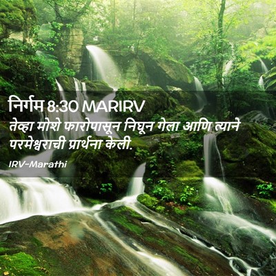 Picture 02 - निर्गम 8:30 MARIRV - तेव्हा मोशे - Bible Verse Picture