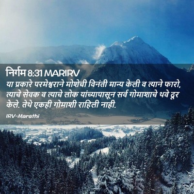 Picture 02 - निर्गम 8:31 MARIRV - या प्रकारे - Bible Verse Picture
