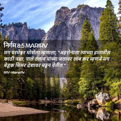 Picture 02 - निर्गम 8:5 MARIRV - मग परमेश्वर - Bible Verse Picture