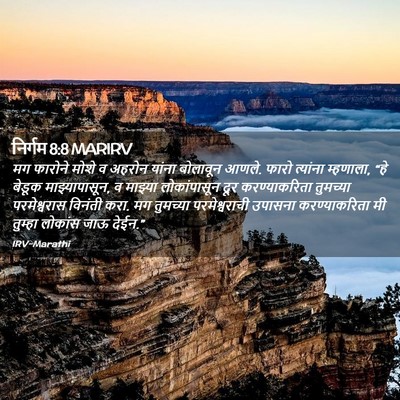 Picture 02 - निर्गम 8:8 MARIRV - मग फारोने मोशे व - Bible Verse Picture