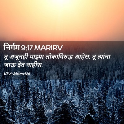 Picture 02 - निर्गम 9:17 MARIRV - तू अजूनही माझ्या - Bible Verse Picture