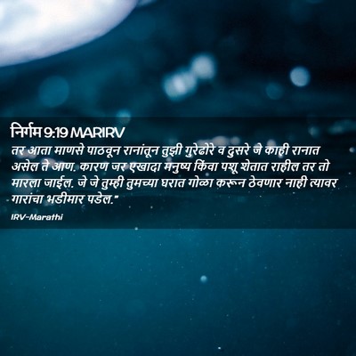Picture 02 - निर्गम 9:19 MARIRV - तर आता माणसे - Bible Verse Picture