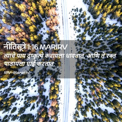 Picture 02 - नीतिसूत्रे 1:16 MARIRV - त्यांचे पाय - Bible Verse Picture