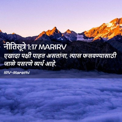 Picture 02 - नीतिसूत्रे 1:17 MARIRV - एखादा पक्षी पाहत - Bible Verse Picture