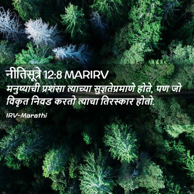 Picture 02 - नीतिसूत्रे 12:8 MARIRV - मनुष्याची प्रशंसा - Bible Verse Picture