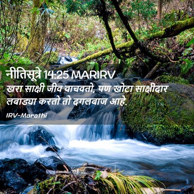 Picture 02 - नीतिसूत्रे 14:25 MARIRV - खरा साक्षी जीव - Bible Verse Picture