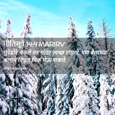 Picture 02 - नीतिसूत्रे 14:4 MARIRV - गुरेढोरे नसले तर - Bible Verse Picture