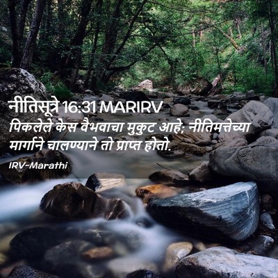 Picture 02 - नीतिसूत्रे 16:31 MARIRV - पिकलेले केस - Bible Verse Picture