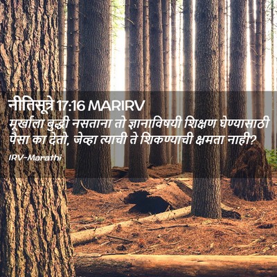 Picture 02 - नीतिसूत्रे 17:16 MARIRV - मूर्खाला बुद्धी - Bible Verse Picture
