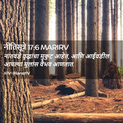 Picture 02 - नीतिसूत्रे 17:6 MARIRV - नातवंडे वृद्धांचा - Bible Verse Picture