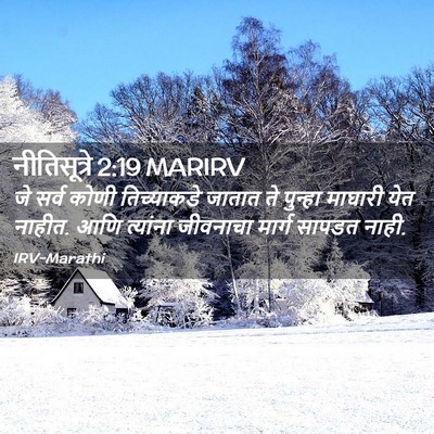 Picture 02 - नीतिसूत्रे 2:19 MARIRV - जे सर्व कोणी - Bible Verse Picture