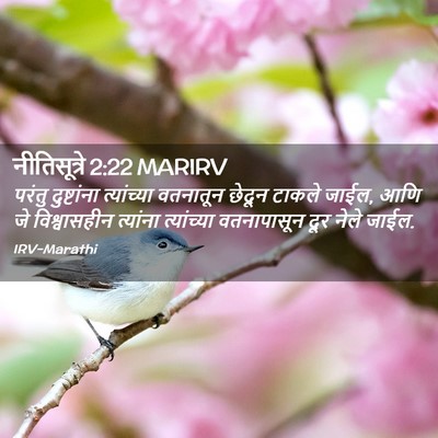 Picture 02 - नीतिसूत्रे 2:22 MARIRV - परंतु दुष्टांना - Bible Verse Picture