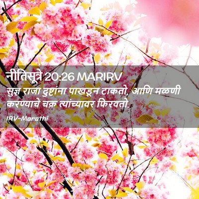 Picture 02 - नीतिसूत्रे 20:26 MARIRV - सुज्ञ राजा - Bible Verse Picture