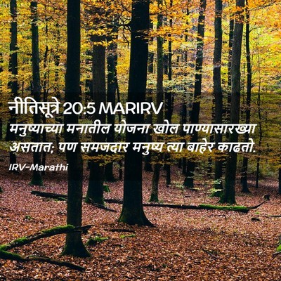 Picture 02 - नीतिसूत्रे 20:5 MARIRV - मनुष्याच्या - Bible Verse Picture