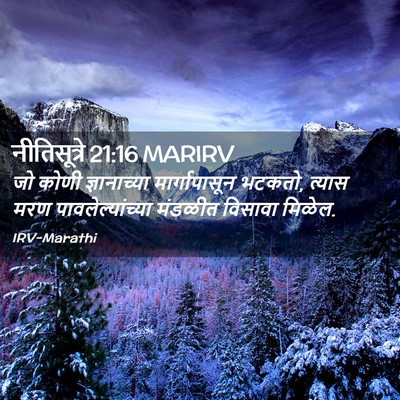 Picture 02 - नीतिसूत्रे 21:16 MARIRV - जो कोणी - Bible Verse Picture