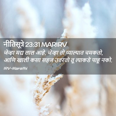Picture 02 - नीतिसूत्रे 23:31 MARIRV - जेव्हा मद्य लाल - Bible Verse Picture