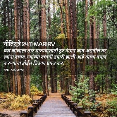 Picture 02 - नीतिसूत्रे 24:11 MARIRV - ज्या कोणाला ठार - Bible Verse Picture