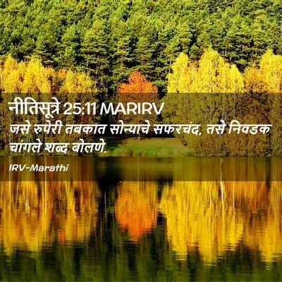 Picture 02 - नीतिसूत्रे 25:11 MARIRV - जसे रुपेरी तबकात - Bible Verse Picture