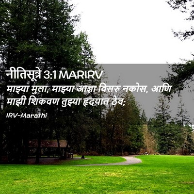 Picture 02 - नीतिसूत्रे 3:1 MARIRV - माझ्या मुला, - Bible Verse Picture