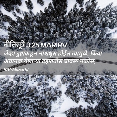 Picture 02 - नीतिसूत्रे 3:25 MARIRV - जेव्हा दुष्टाकडून - Bible Verse Picture