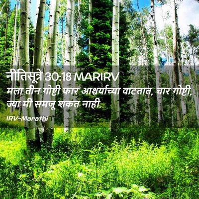 Picture 02 - नीतिसूत्रे 30:18 MARIRV - मला तीन गोष्टी फार - Bible Verse Picture
