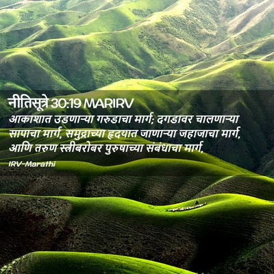 Picture 02 - नीतिसूत्रे 30:19 MARIRV - आकाशात उडणाऱ्या - Bible Verse Picture