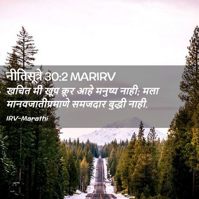 Picture 02 - नीतिसूत्रे 30:2 MARIRV - खचित मी खूप क्रूर - Bible Verse Picture