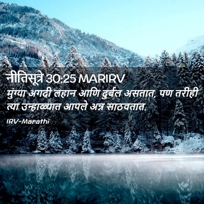 Picture 02 - नीतिसूत्रे 30:25 MARIRV - मुंग्या अगदी लहान - Bible Verse Picture