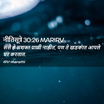 Picture 02 - नीतिसूत्रे 30:26 MARIRV - ससे हे सशक्त - Bible Verse Picture