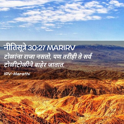 Picture 02 - नीतिसूत्रे 30:27 MARIRV - टोळांना राजा नसतो, - Bible Verse Picture