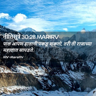 Picture 02 - नीतिसूत्रे 30:28 MARIRV - पाल आपण हातानी - Bible Verse Picture