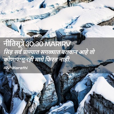Picture 02 - नीतिसूत्रे 30:30 MARIRV - सिंह सर्व - Bible Verse Picture