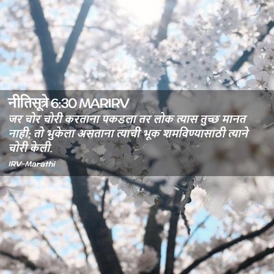Picture 02 - नीतिसूत्रे 6:30 MARIRV - जर चोर चोरी करताना - Bible Verse Picture