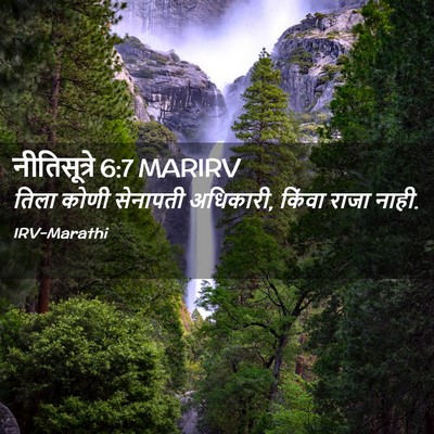Picture 02 - नीतिसूत्रे 6:7 MARIRV - तिला कोणी सेनापती - Bible Verse Picture