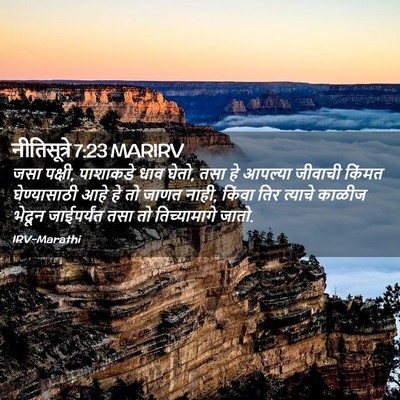 Picture 02 - नीतिसूत्रे 7:23 MARIRV - जसा पक्षी, पाशाकडे - Bible Verse Picture
