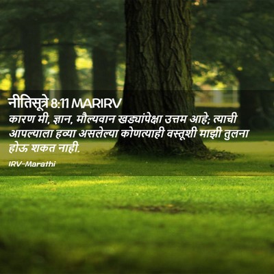 Picture 02 - नीतिसूत्रे 8:11 MARIRV - कारण मी, ज्ञान, - Bible Verse Picture