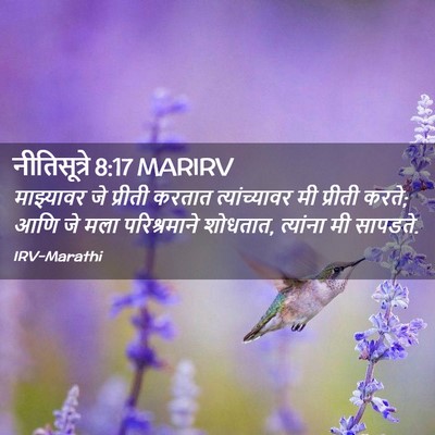 Picture 02 - नीतिसूत्रे 8:17 MARIRV - माझ्यावर जे - Bible Verse Picture