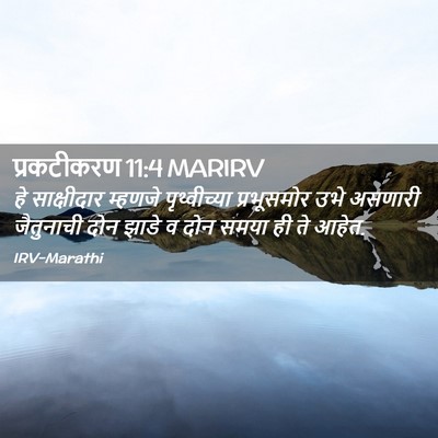 Picture 02 - प्रकटीकरण 11:4 MARIRV - हे साक्षीदार - Bible Verse Picture