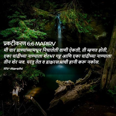 Picture 02 - प्रकटीकरण 6:6 MARIRV - मी चार - Bible Verse Picture
