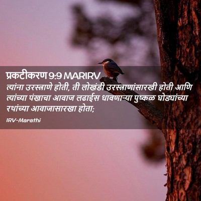 Picture 02 - प्रकटीकरण 9:9 MARIRV - त्यांना - Bible Verse Picture